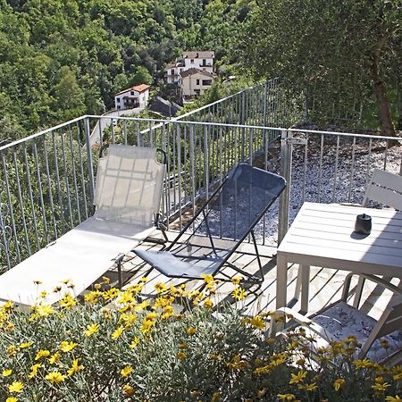 La Terrazza Con L'Ulivo - Guesthouse Con Terrazza E Vista Sul Golfo Dei Poeti 라스페치아 외부 사진