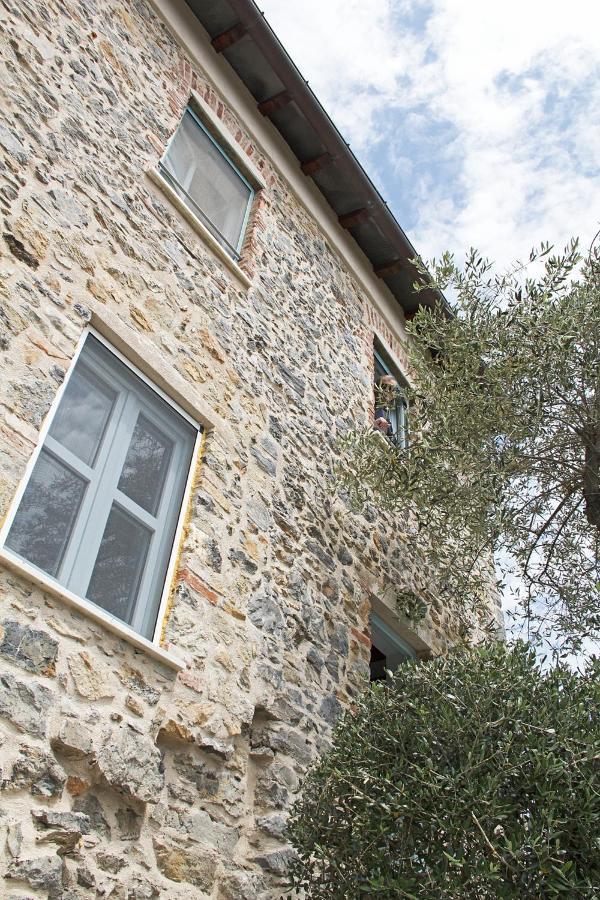 La Terrazza Con L'Ulivo - Guesthouse Con Terrazza E Vista Sul Golfo Dei Poeti 라스페치아 외부 사진