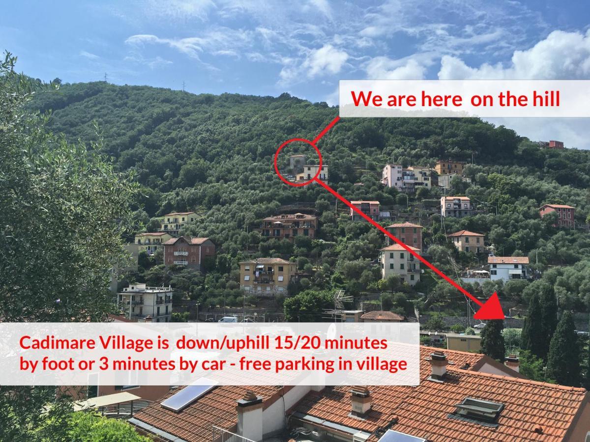 La Terrazza Con L'Ulivo - Guesthouse Con Terrazza E Vista Sul Golfo Dei Poeti 라스페치아 외부 사진