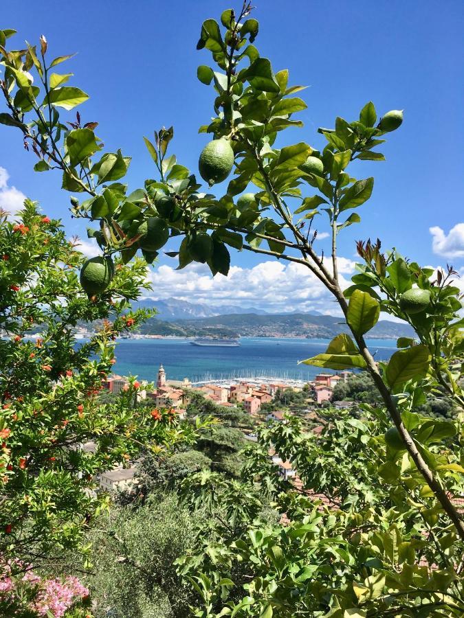 La Terrazza Con L'Ulivo - Guesthouse Con Terrazza E Vista Sul Golfo Dei Poeti 라스페치아 외부 사진